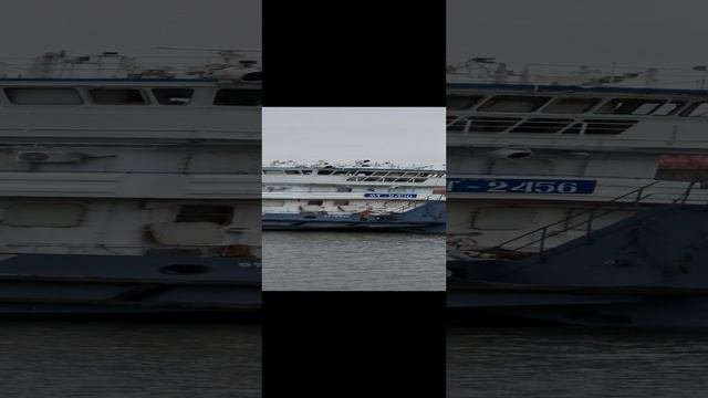 От-2456