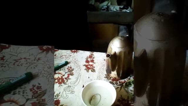 Что будет если положить  ракушку в кипяток