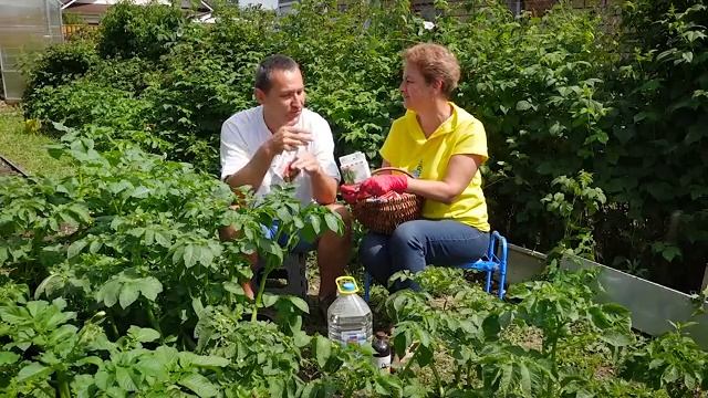 Профистим. Защита картофеля. Приготовление баковой смеси. Наталия Петренко.mp4