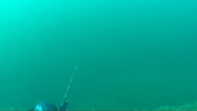 Подводная охота Черном море