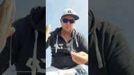 Лайвхак от ЩУКи., как жить с крючком в желудке...