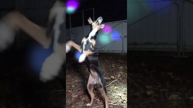 День Рождения