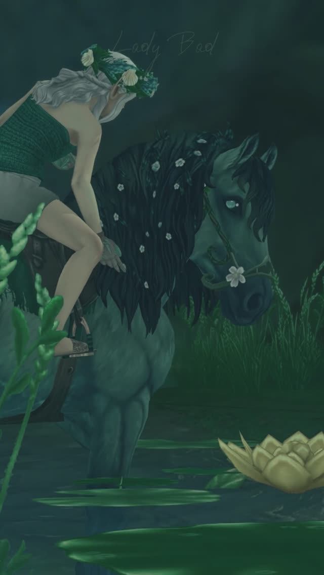 🧜 #sso #starstableonline #starstable #лошади