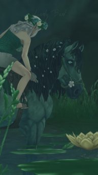 🧜 #sso #starstableonline #starstable #лошади