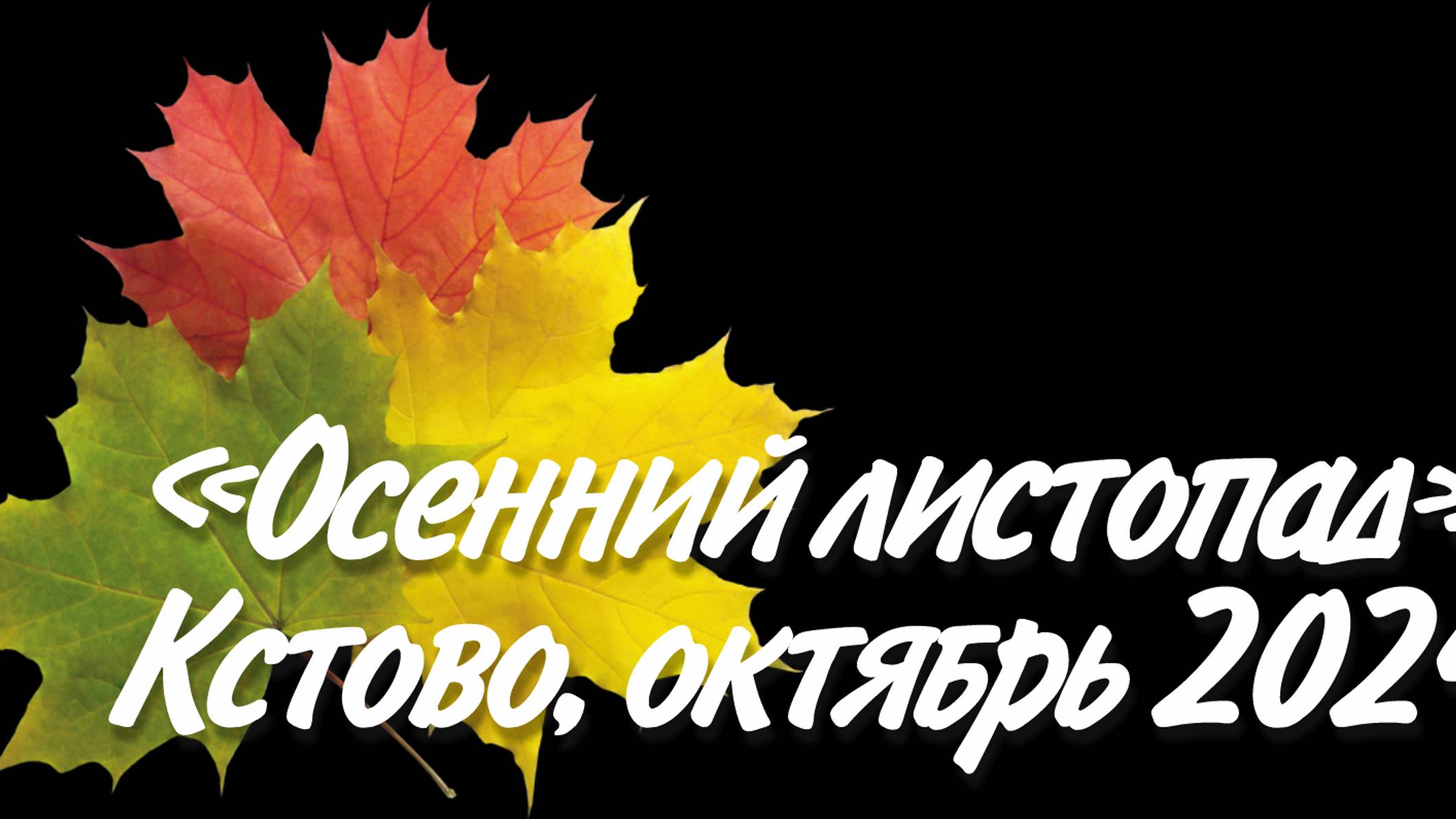 Осенний листопад 2024.