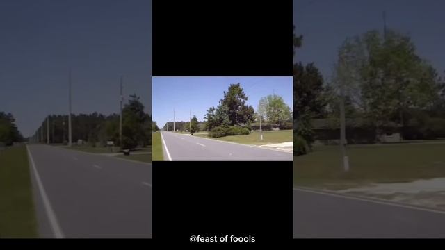 1000045559
