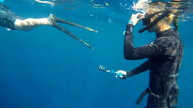 Pelagic Shark Dive Tony & Matt
