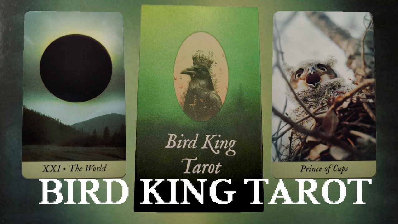 Обзор на атмосферную колоду "Bird King tarot"