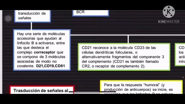 Reconocimiento de antígenos: BCR, moléculas accesorias