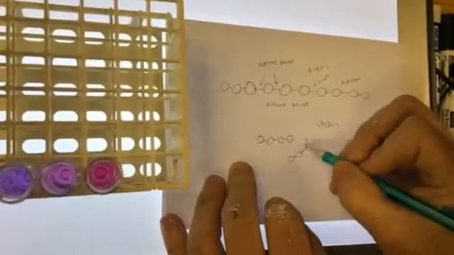 Protein digestion with Biuret's reagent