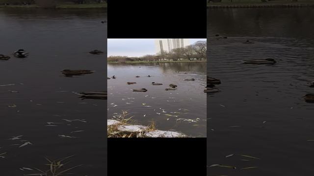 14.11.24