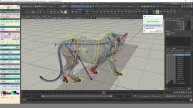 Doing a quadrupedal gait for 8 sides from a forward gait.