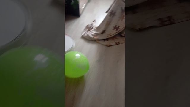 Фокус покус тру ля ля