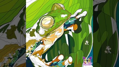 Beautiful frog - Tape color lite