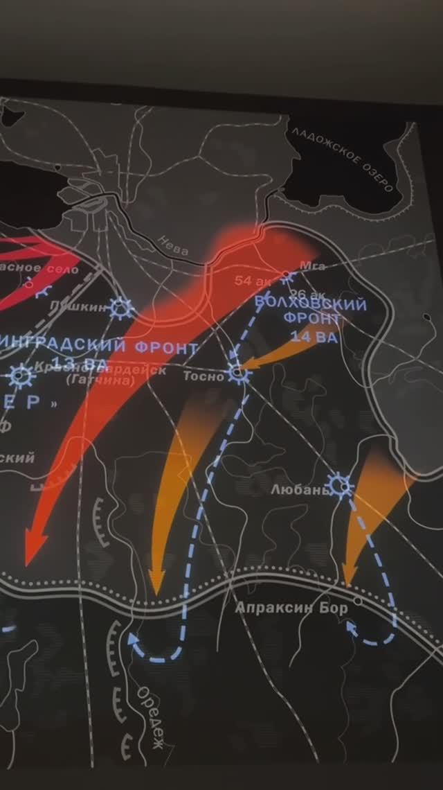 Красносельско-Ропшинская наступательная операция 1944-го года / Сходи Посмотри  Музей блокады