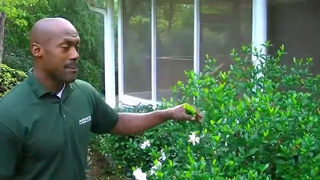 Aseem Landscaping 3-Pruning Times - Fall Seasonal Change