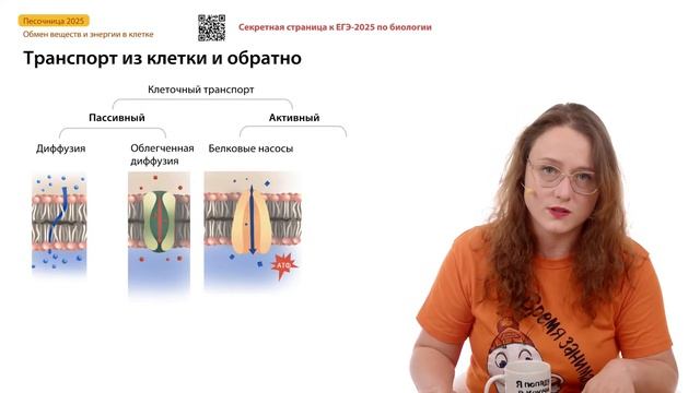 Обмен веществ и энергии в клетке | БИОпесочница | ЕГЭ-2025 по биологии