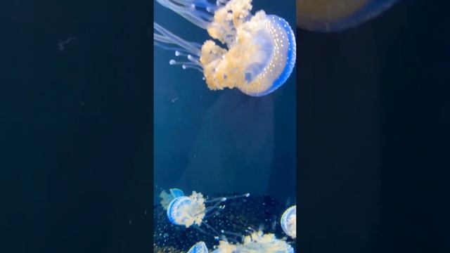 CUTE !!😍😍