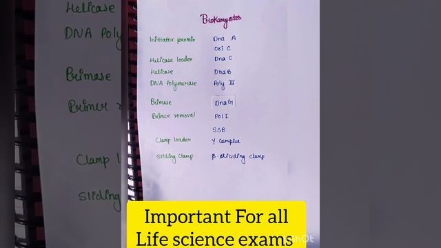 Difference between Prokaryotic and Eukaryotic DNA Replication  enzyme / Proteins