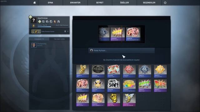 CS:GO 1 Sticker capsule and 1 bosh holo sticker opening