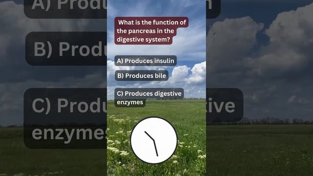What is the function of the pancreas in the digestive system? #PancreaticHealth#scincefather #tags