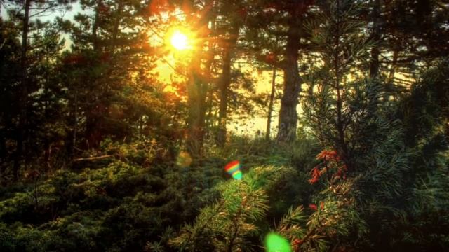 Энергия Единорогов Unicorns Music Channelling