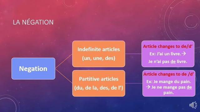 La négation Part II)-Negation with articles|Easy French lessons|Online French tutorials|French clas