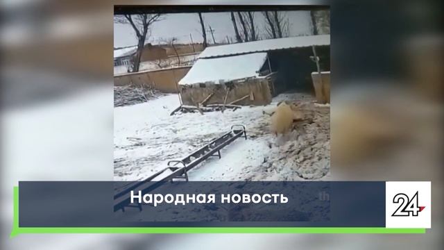 Народные новости от 30 ноября 2021 г.