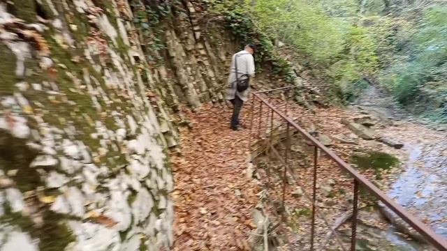 lv_0_20241113223901.mp4
Мамедово ущелье, продолжение