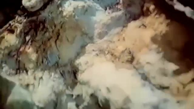 Очень редкое видео. #рекомендации