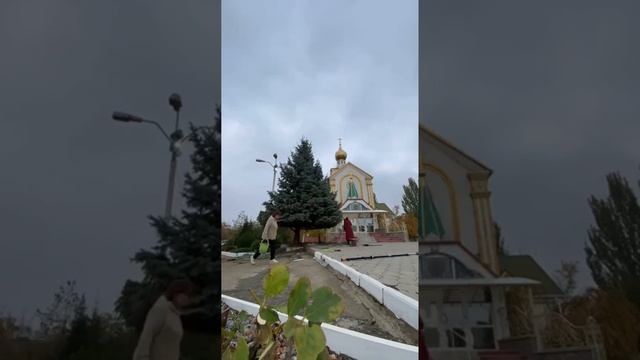 Топиарные стрижки. Заказать услугу можно по номеру: +79081842203