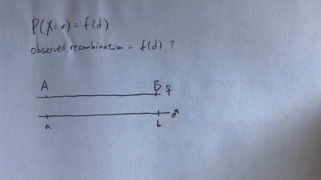 Derivation of Haldane's Map Function