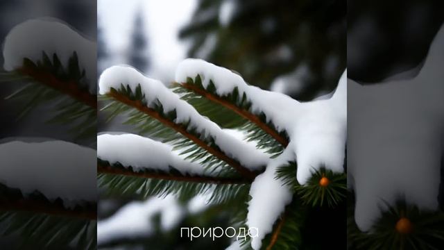 В ЖК "Радуга Сибири" природа и уют круглый год!