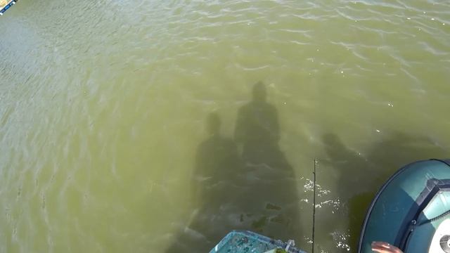 ЗАЦЕПИЛИ СО ДНА НЕПОДЪЕМНОЕ ТЕЛО - река скрывала, но сдалась! Дизельный катер в деле!