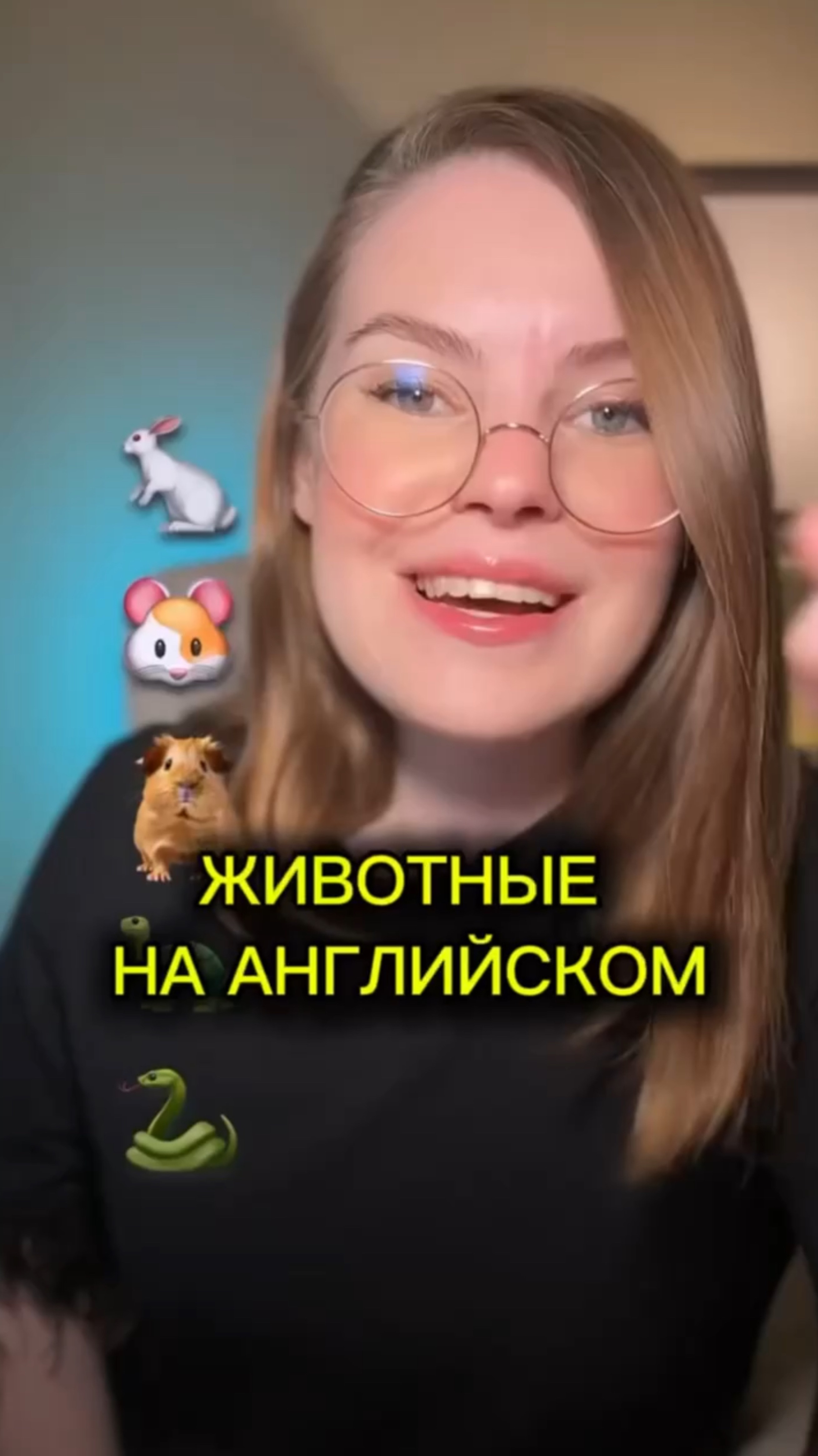 Назовешь этих животных на английском?