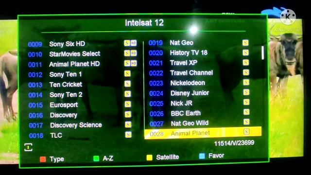 Intelsat 12, 45e dialog tv