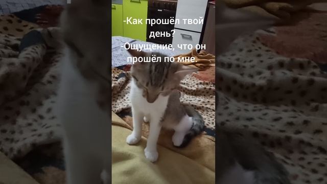 1000054231.mp4