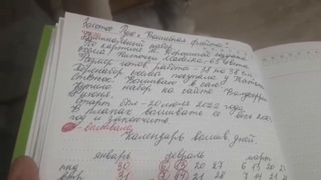 1.#вышивка.Рассказываю о процессе от Золотое Руно"Волшебная Флейта"|Начатыш 2022 года