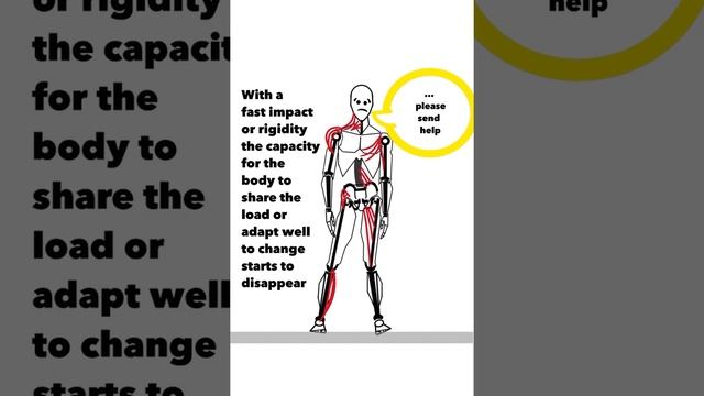The Body is Not a Simple Machine