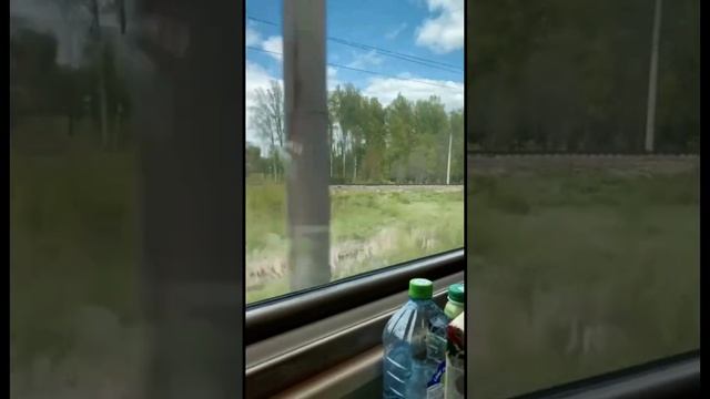 Делайте это сейчас, не откладывайте #путешествия #ржд #поезда #россия
