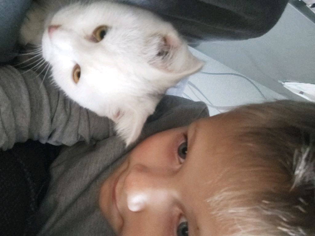 мы мы с кошечкой