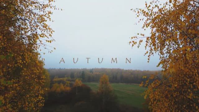 Autumn - осень