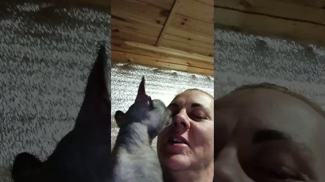 Питомник эльфов и бамбино" Половинка Моя"