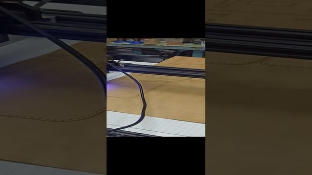 VID_20241114_154046.mp4