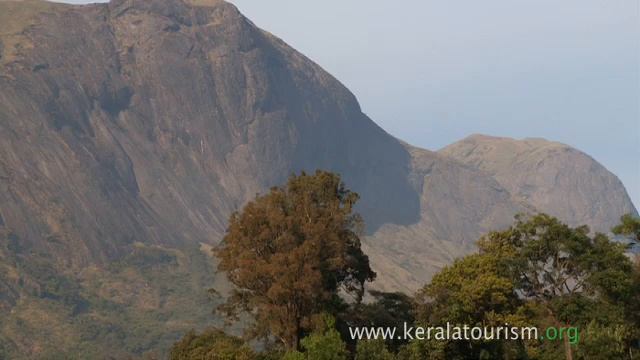 Call of the Wild | The Beauty of Western Ghats | National Parks | Kerala Tourism
