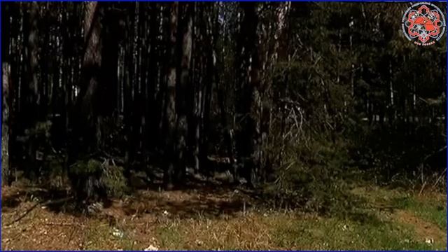 Особый противопожарный режим в ЗАТО Северск. Сюжет Северской телекомпании