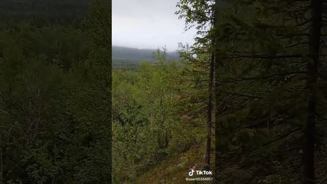 1000008764.mp4