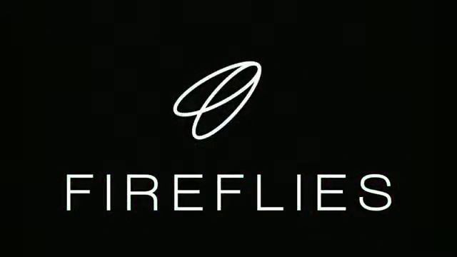 FIREFLIES BUSINESS.Five Star Seminar.Турция. Анталия