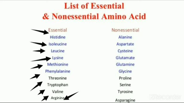 Essential and Non essential amino acid.