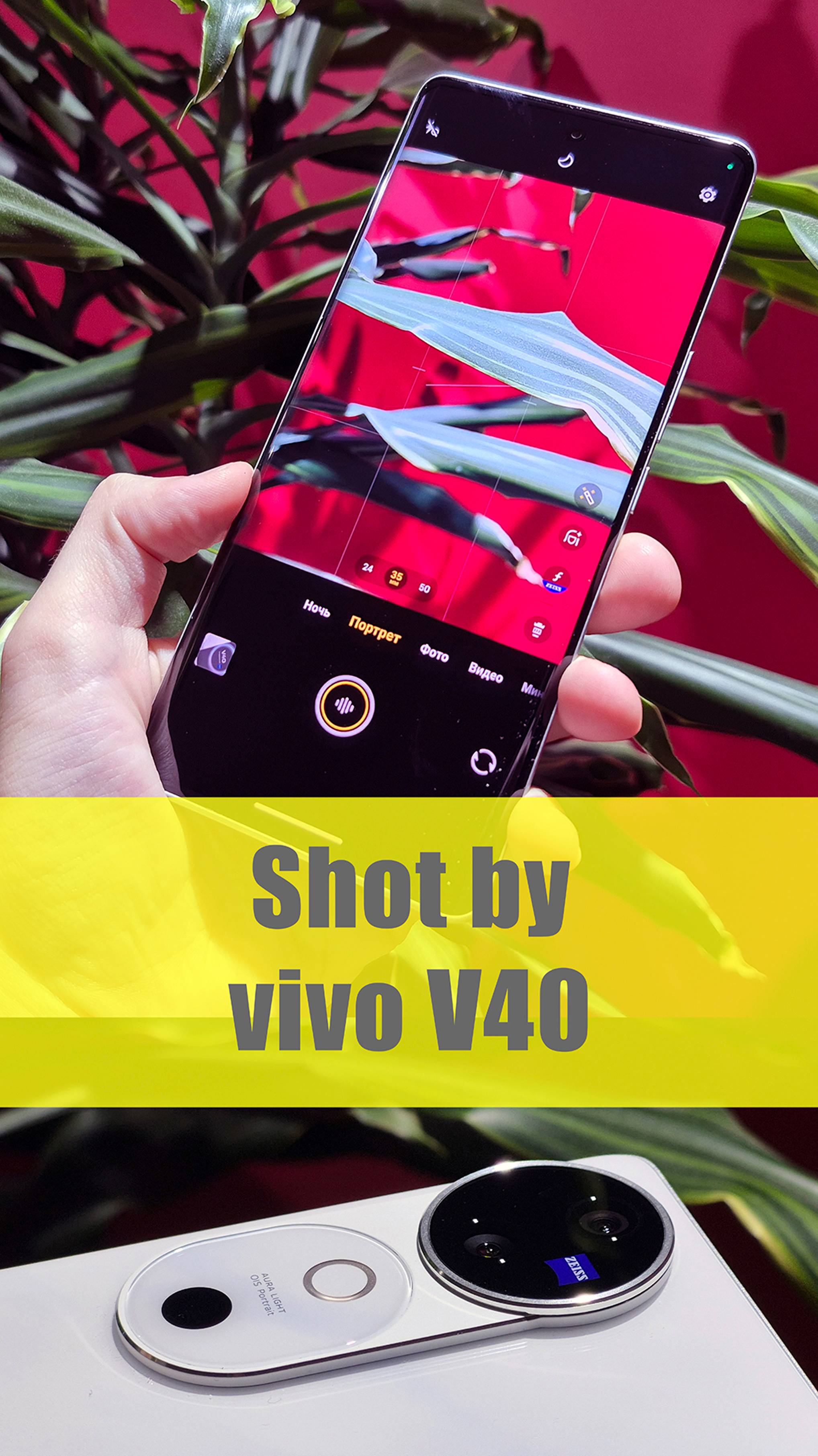 vivo V40 — как снимает смартфон с камерами ZEISS?